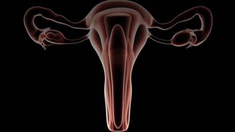 Educational Webinar - Diagnosis of Abnormal Uterine Bleeding - Dr. Steven R. Goldstein